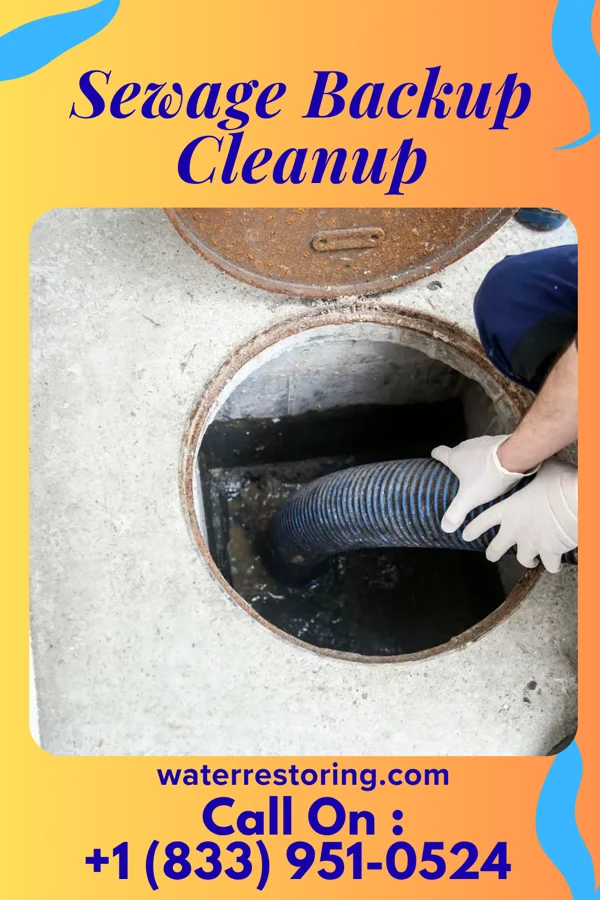 Sewage Backup Cleanup in Sugar Grove, IL